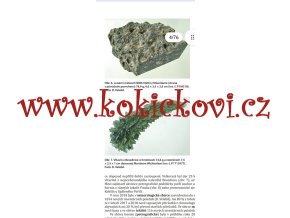 Screenshot 20250114 154110 Drive