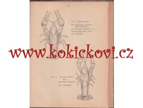 Skener 20250131 (10)