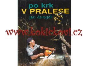 PO KRK V PRALESE - JAN DUNGEL