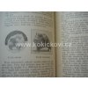 CHOV UŠLECHTILÝCH A UŽITKOVÝCH PSŮ A JICH PLEMENA Dvořáček 1926
