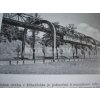 Divy Ameriky a Evropy Fr. Schörpner Toužimský a Moravec 1938