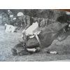DOSTIHOVÝ SPORT V ČESKOSLOVENSKU 1969