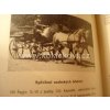 NÁŠ TEPLOKREVNÍK 1925 chov koní LIPICÁN
