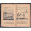 Pojednání o chovu plemenech, plemenitbě a nemocech koní 1895 - KOŇAŘSTVÍ - BEZDÍČEK