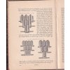 CIHLÁŘSTVÍ KOBER 1903 CIHLY TAŠKY STAVITELSTVÍ