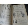 VETERINÁRNÍ INSTRUMENTY NÁSTROJE KATALOG FIRMY HAUPTNER 1932