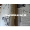 VETERINÁRNÍ INSTRUMENTY NÁSTROJE KATALOG FIRMY HAUPTNER 1932