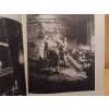 DĚJINY TECHNIKY V ČESKÝCH ZEMÍCH 1800-1918 SV.4