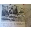 ZUŠLECHŤOVÁNÍ ŽITA - VLASTNOSTI ZRNA KLASU 1948 STRAN 114