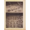 Katalog užitého umění KRÁSNÁ JIZBA DRUŽSTEVNÍ PRÁCE ŽIDLE - 8 STRAN A4 - SUTNAR - SMRČKOVÁ - KYBALA