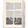 Maico 500  Betriebsanleitung Original 1958, 38 Seiten