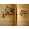 DDR Motorrad Handbuch 1953 IFA AWO BMW NSU MOTOCYKL