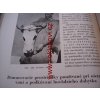 Podkúvačstvo 1957 Čollák Dionýz Hanulay Juraj podkovářství