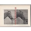 Podkúvačstvo 1957 Čollák Dionýz Hanulay Juraj podkovářství