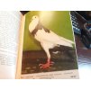 Kapesní atlas okrasných ptáků