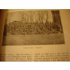 Za svobodu : obrázková kronika československého revolučního hnutí na Rusi 1914-1920. II.díl