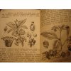 1873 Rostlinopis - botanika - malý formát stromy keře