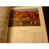 PLEMENÍCI 1990 - KATALOG - A5 - 104 stran