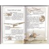 Malá kronika letectví. 2, O esech a hrdinech