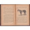 Pojednání o chovu a plemenění koní a podvodech, jakých se užívá při obchodu s koňmi UHERSKÉ HRADIŠTĚ 1886