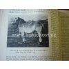 UČEBNICE OBECNÉ ZOOTECHNIKY 1. DÍL 1933 FRANTIŠEK BÍLEK