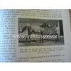 UČEBNICE OBECNÉ ZOOTECHNIKY 1. DÍL 1933 FRANTIŠEK BÍLEK