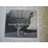 UČEBNICE OBECNÉ ZOOTECHNIKY 1. DÍL 1933 FRANTIŠEK BÍLEK