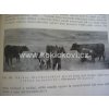 UČEBNICE OBECNÉ ZOOTECHNIKY 1. DÍL 1933 FRANTIŠEK BÍLEK
