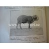 UČEBNICE OBECNÉ ZOOTECHNIKY 1. DÍL 1933 FRANTIŠEK BÍLEK