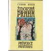 Židovská Praha - průvodce památkami- 1991 - 337 stran