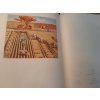 1950 CHINESE CHINA ARTWORK EXHIBITION PAINTING WOODCUT PROPAGANDA BOOK - Paintings, Woodcuts, e.g. New Year Pictures - mao tse tung