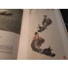 SOUČASNÉ ČÍNSKÉ MALÍŘSTVÍ Li K’e Jen Čchi Paj - Š Qi Baishi - česky (ZACHOVALÝ STAV)