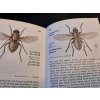 Kapesní atlas dvoukřídlého hmyzu - Javorek Vladimír - 1978