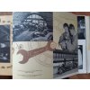 Československé družstevní hnutí - propagační publikace 1958 - A3 - hračky - šperky - látky - motocykly - cukrovinky - hodiny atd. EXPO 58