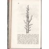 Klíč štěpařský, čili nawedení k štěpowání owocných stromů a popis nejznamenitějších druhů owocných w Čechách 1848