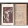DER SATAN - MONDÄNES SEX MAGAZIN - 1930 - rakouský erotický časopis pro dospělé z dob, kdy erotika byla uměním