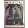 VLK Z ÚDOLÍ PROKLETÍ - filmový plakát A3 - Karel Machálek - 1968