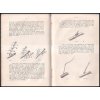 jablon monograficke pojednani pro ceske stepare a pratele steparstvi ladislav burket 1882 219398 1