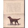 Ohař -  Jan Seidl - 1901 + Chov a cvičení psů stavěcích 1895 - Karel Hrubý - RARITA DO SBÍRKY