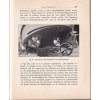 Jahrbuch der Automobil - und Motorboot-Industrie im Auftrag des Deutschen Automobil-Verbandes Berlin 1904 razítko KAREL PAŠEK TOVÁRNA NA MOTORY SMÍCHOV