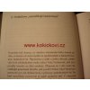 Kapitoly z poetiky Bohumila Hrabala Jankovič Torst 1996