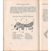 prvni ceska sedlarska ucebnice pro skoly tovaryse a mistry 1946 175915539