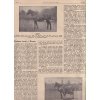 Chovatel koně, ročník 1., rok 1923-24, čísla 1-12 hipologie více jak 100 let stará rarita - in prof. Fr. Bílek, A. Lechner aj. podkovářství
