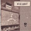 OBCHODNÍ PALÁC SVĚTOVÉ ÚROVNĚ BÍLÁ LABUŤ - FUNKCIONALISTICKÝ OBCHODNÍ PALÁC Z R. 1939 - HLUBOTISKOVÝ PROSPEKT 16 STRAN (VARIANTA 2)