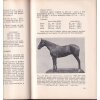STUDIE STAVBY TĚLA JEZDECKÉHO KONĚ - LECHNER 1931 CHOV KONÍ