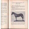 STUDIE STAVBY TĚLA JEZDECKÉHO KONĚ - LECHNER 1931 CHOV KONÍ