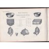 Pick a Winterstein 1903 - obří reklamní katalog a ceník velkozávodu s potřebami technickými a stroji (parní stroje, klozety, lucerny, nářadí, hasičské stříkačky, pumpy, transmise ....