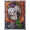Hry lásky šálivé (filmový plakát, film ČSSR 1971, režie Jiří Krejčík; Hrají: Miloš Kopecký, Božidara Turzonovová, Jozef Adamovič) A3