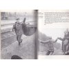 Všichni ti bystří mladí muži a ženy Osobní historie českého filmu
