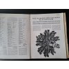 WALTER BULLETIN 2/1938 - PROPAGAČNÍ ČÍSLO - MOTORY LETADLA - 36 STRAN